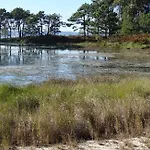 Capricho De Fontabron * Vilagarcia de Arousa